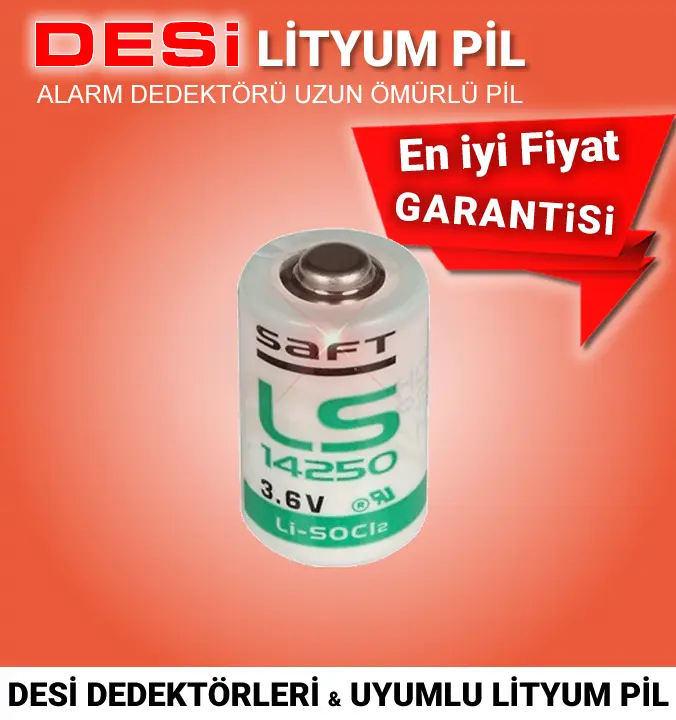 Desi Alarm Pili